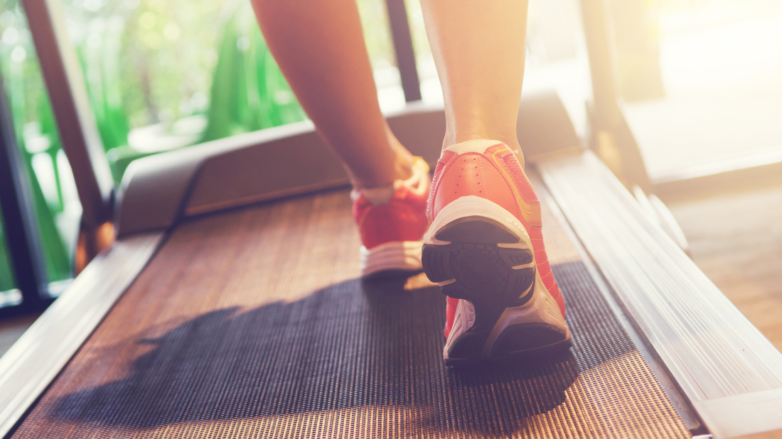 bieznia domowa bieznia domowa