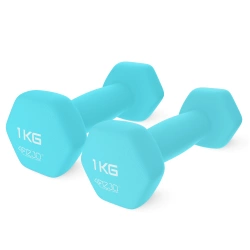 Hantelki żeliwne do ćwiczeń Classic 2 x 1 kg