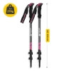 Kije trekkingowe do nordic walking PEAK+ różowe